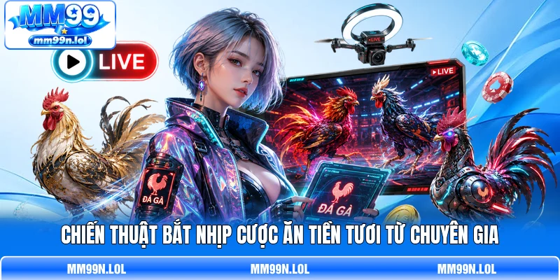 Chiến thuật bắt nhịp cược ăn tiền tươi từ chuyên gia