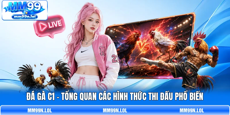 Đá Gà C1 - Tổng Quan Các Hình Thức Thi Đấu Phổ Biến