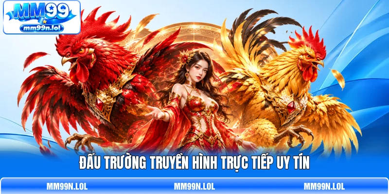 Đấu trường truyền hình trực tiếp uy tín
